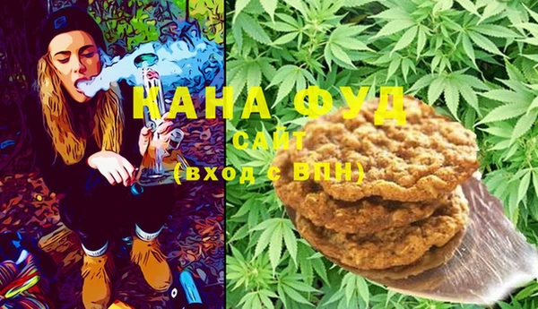 метадон Лагань
