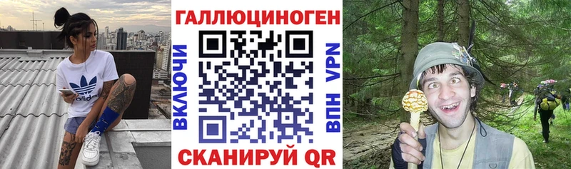 наркота  Курильск  Псилоцибиновые грибы Magic Shrooms 